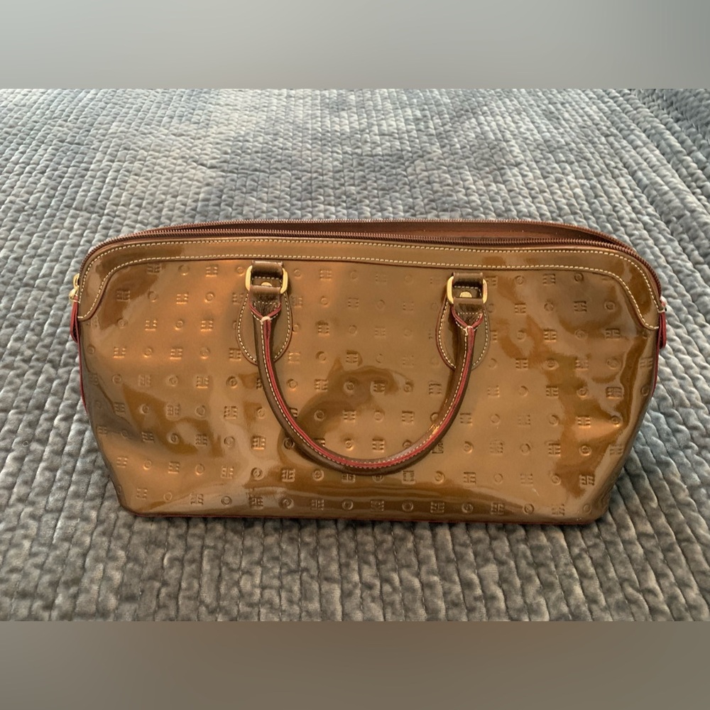 Arcadia Patent leather purse